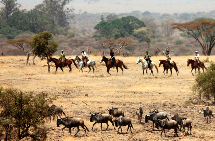 kilimanjaro-meru-eight-days-horse-riding-tour-package